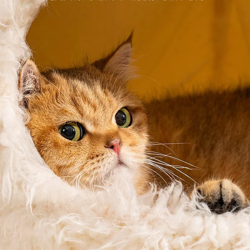 Very Soft Pet Cat House Deep Sleep Comfortable Cats Bed Warm Plush Pet Beds Suitable for Small and Medium-Sized Cats/Dog Beds